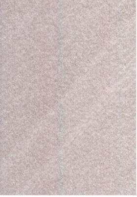stone10